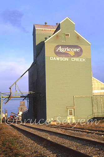 dawson creek