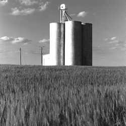 acres