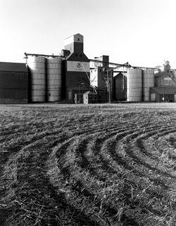 joplin, mt