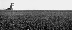 mercier, ks