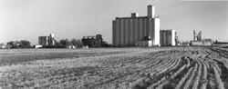 paoli