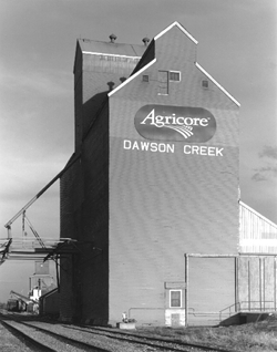 dawson creek