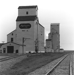 medora