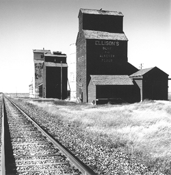new dayton