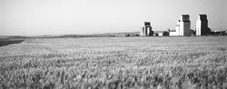 nobleford