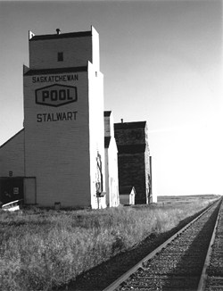 stalwart