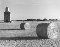 tate farm