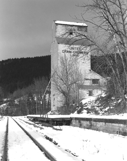 wynndel