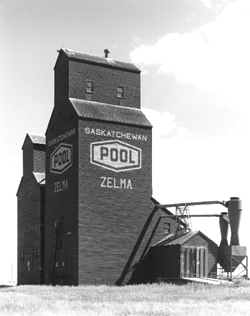 zelma