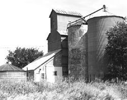 nissen