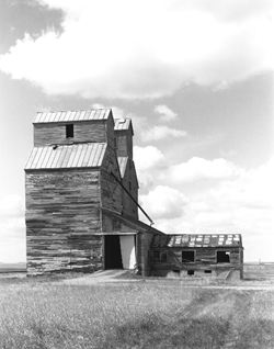 north almont