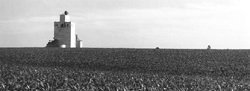nunda, sd