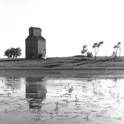 nunda, sd farm