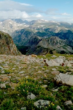 beartoothmtns1