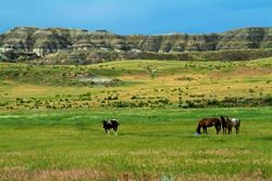custer county 2