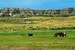 custercounty2