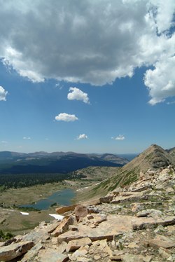 naturalist basin 1