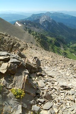 sacajawea peak 2