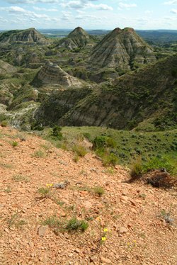 terry badlands 1
