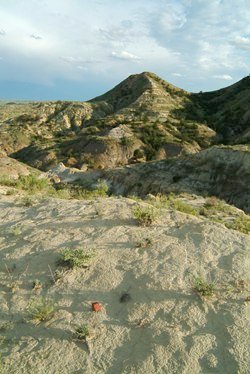 terry badlands 2
