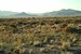 utahlandscape1