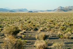 utah landscape 3
