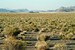 utahlandscape3
