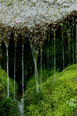 watercolumns1