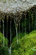 watercolumns1
