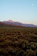 wheelerpeak1