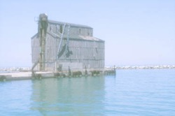 peleeisland